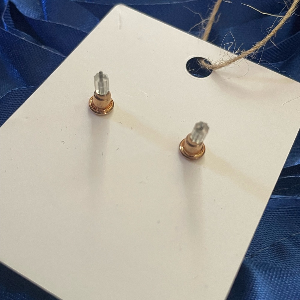 NWOT Cactus Studs - Picture 3 of 3